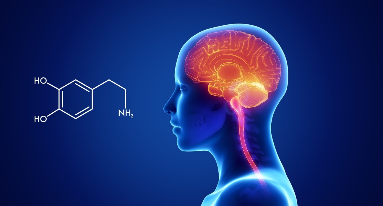 What Is Dopamine In The Brain