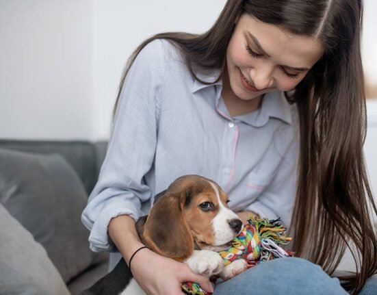 Animal-Assisted Therapy