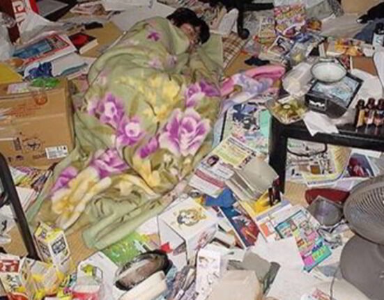 What is Hikikomori Syndrome
