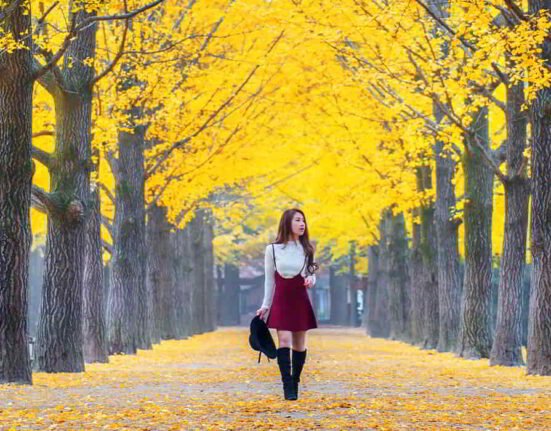 why-do-we-love-autumn-a-psychological-exploration