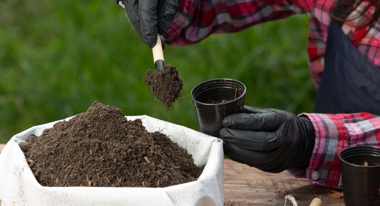 chronic-health-conditions-and-their-connection-to-agricultural-chemicals
