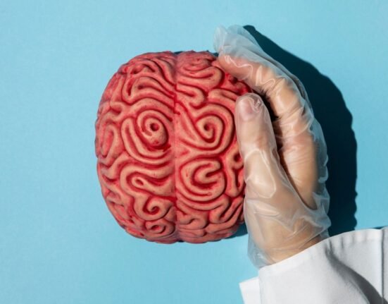 research-analysis-of-the-hearts-nervous-system