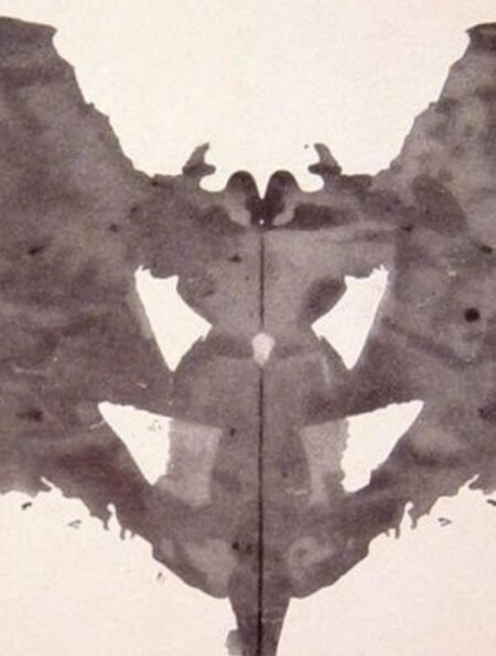 anorexia-nervosa-a-referred-patient-for-rorschach