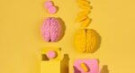 Beautiful view of Dopamine'S Impact On Cognitive Flexibility