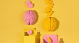 Dopamine’s Role in Cognitive Flexibility: New Research Insights - Dopamine'S Impact On Cognitive Flexibility