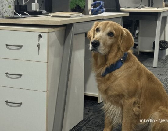 hyderabad-startup-appoints-dog-as-chief-happiness-officer-to-boost-employee-well-being