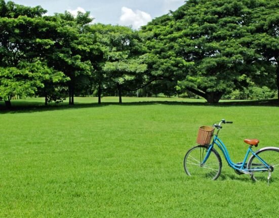 the-psychology-of-green-spaces-why-nature-heals-the-mind