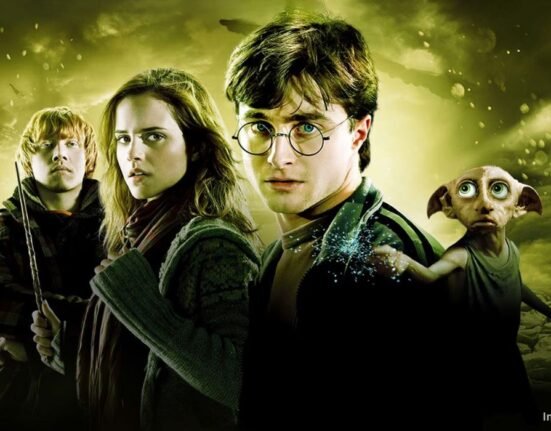 the-universal-magic-of-harry-potter-a-psychological-view