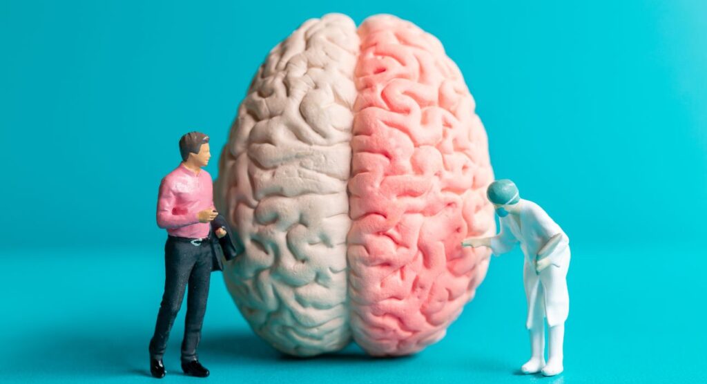 The Neural Basis of Empathy
