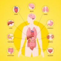 Interoception How Sensing Your Body Helps Your Mind