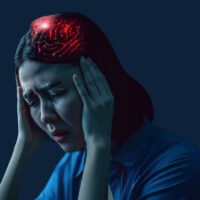 how-stress-affects-the-brain-and-behaviour