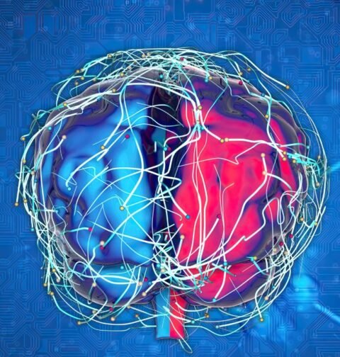 selank-a-window-into-peptide-based-neurological-research