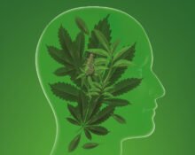 genetic-insights-into-cannabis-use-and-associated-health-risks