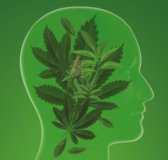 genetic-insights-into-cannabis-use-and-associated-health-risks