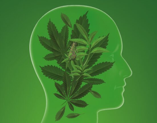 genetic-insights-into-cannabis-use-and-associated-health-risks