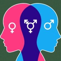 sex-differences-in-neurobiology-risk-and-impulsive-studies