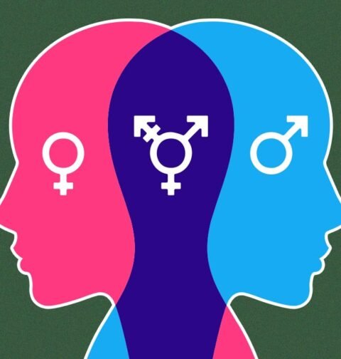 sex-differences-in-neurobiology-risk-and-impulsive-studies