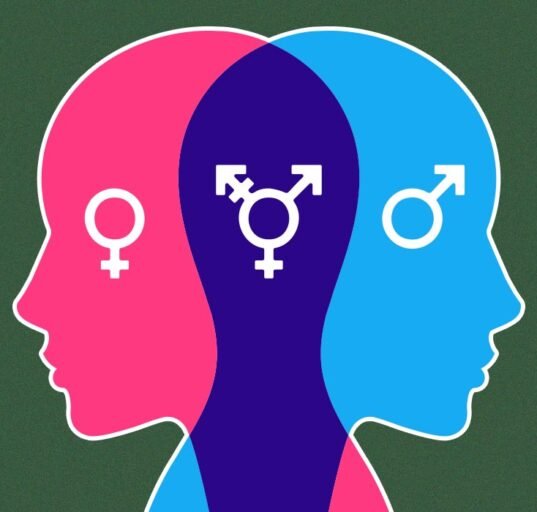 sex-differences-in-neurobiology-risk-and-impulsive-studies