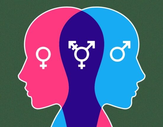 sex-differences-in-neurobiology-risk-and-impulsive-studies