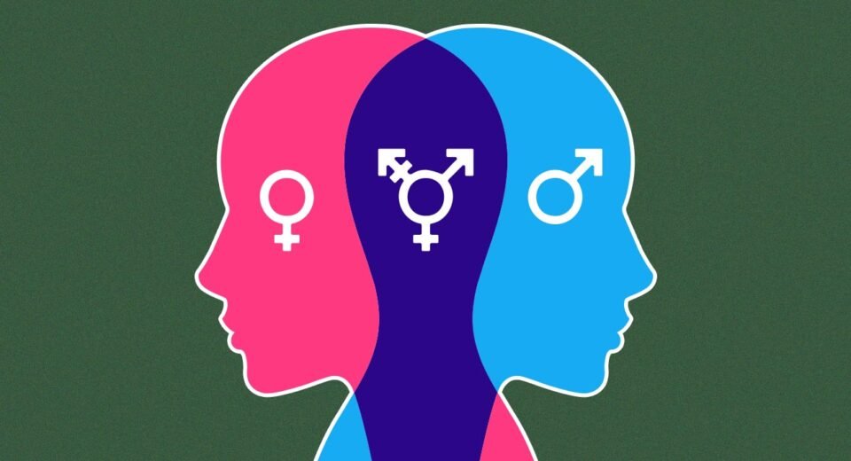 sex-differences-in-neurobiology-risk-and-impulsive-studies