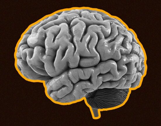 how-memory-can-be-rewritten-episodic-and-semantic-memory-retrieval