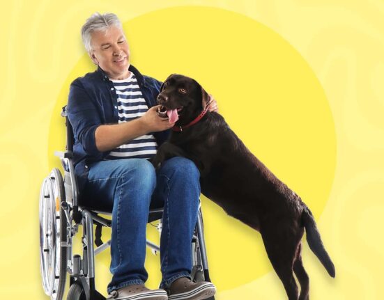 paws-with-a-purpose-service-dogs-for-disabled-people
