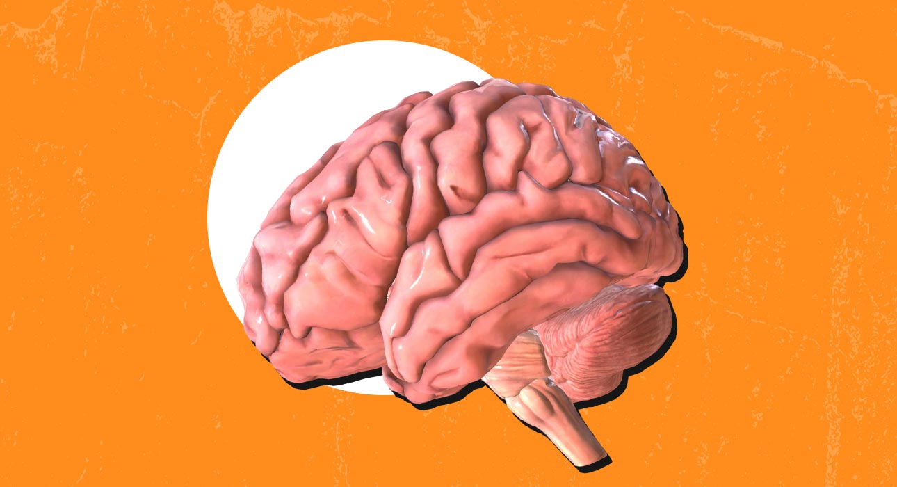 cortical-thinning-caused-by-chronic-stress-exposure