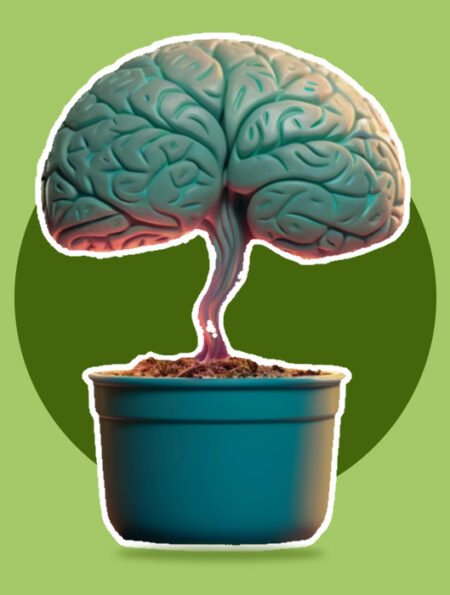 ecopsychological-interventions-in-mental-health-care-how-nature-heals-the-mind