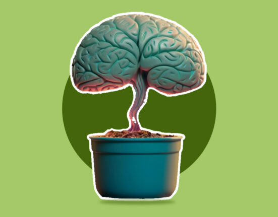 ecopsychological-interventions-in-mental-health-care-how-nature-heals-the-mind