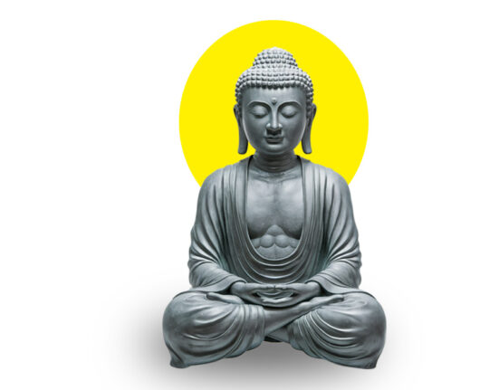 joy-on-screen-exploring-contemporary-buddhism-and-positive-psychology