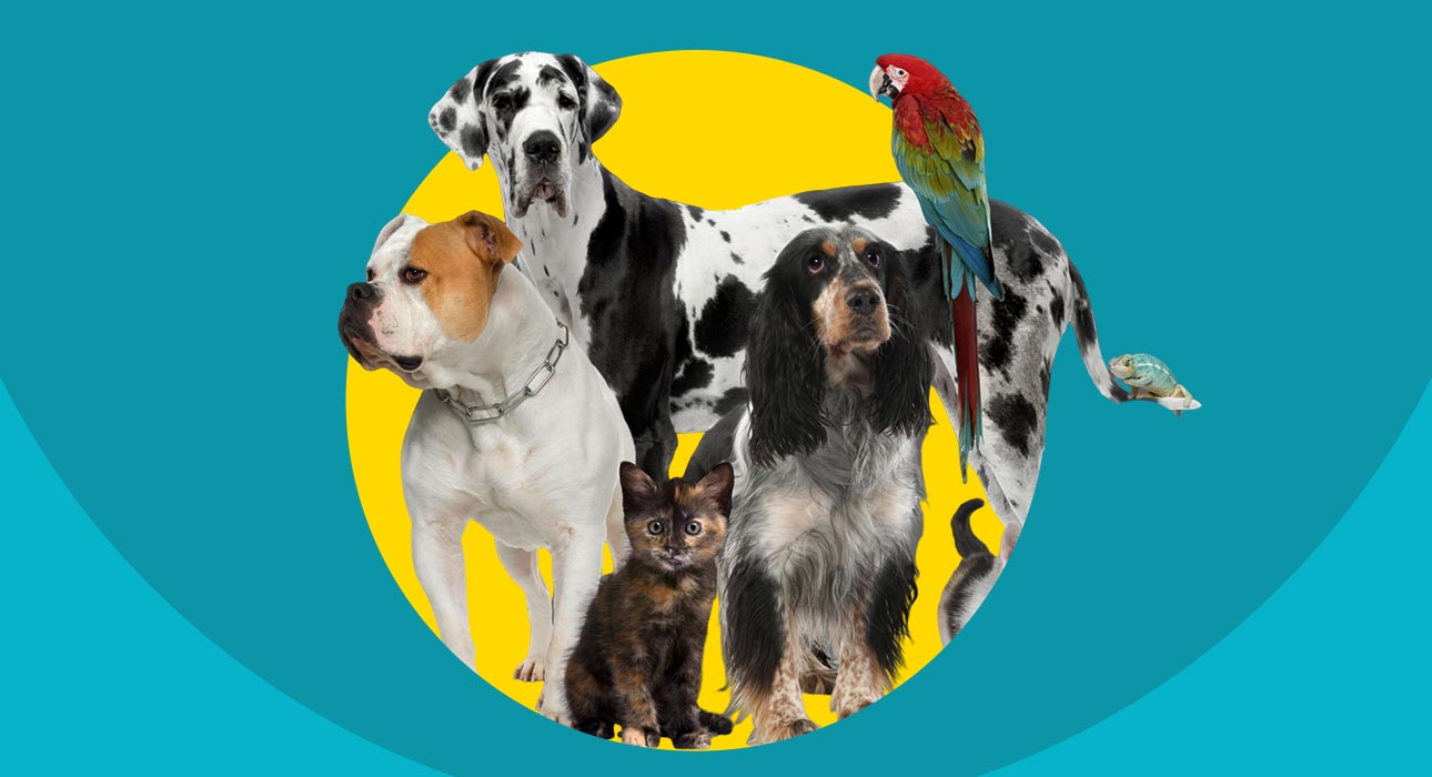 psychology - ShareChat