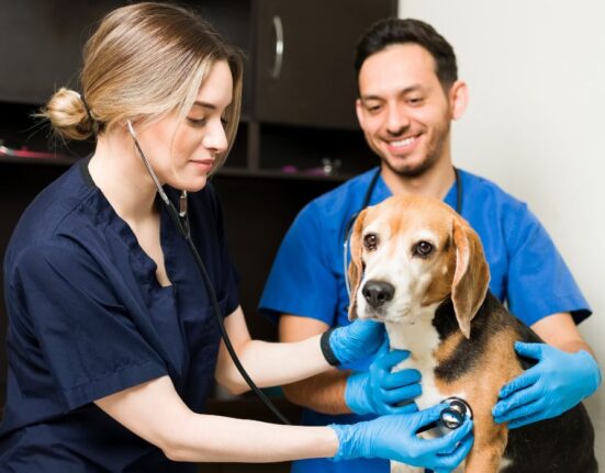 professional-veterinary-care-for-healthy-happy-pets