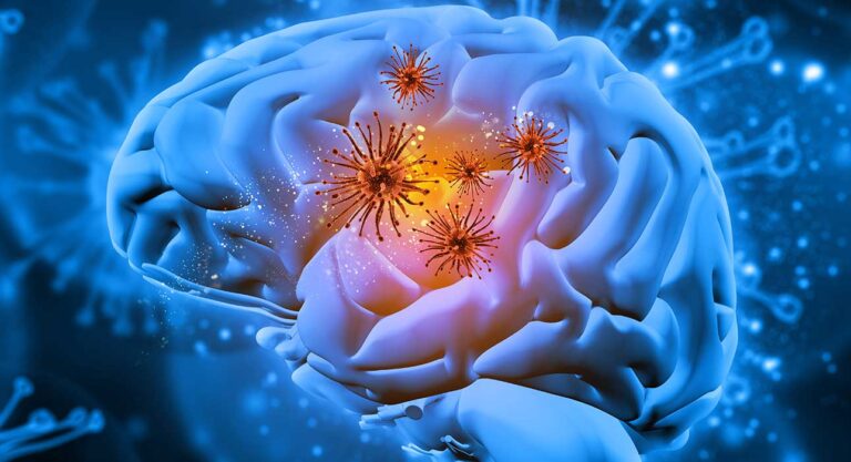 Taming Tumour Chaos: A New Path to Better Glioblastoma Treatment