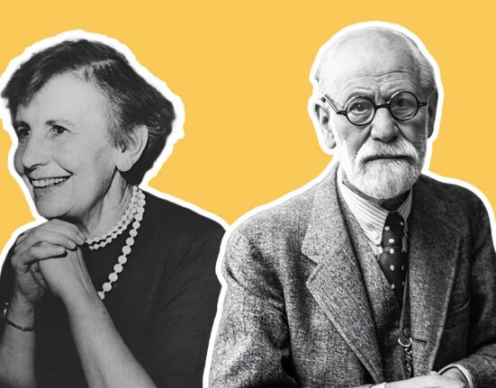 the-psychoanalytic-roots-of-resistance-freud-and-anna-freuds-psychoanalytic-perspectives