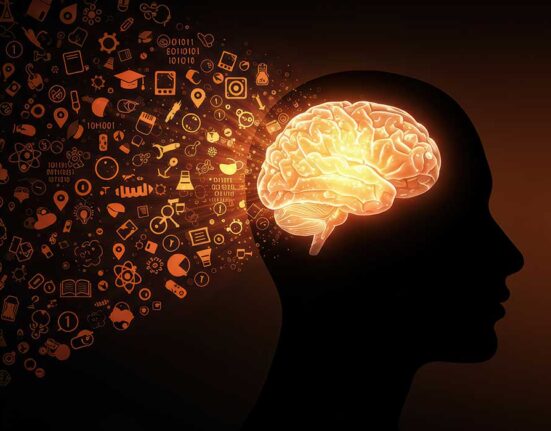 when-memory-meets-motivation-the-hippocampus-at-work