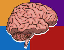 how-we-read-minds-implicit-and-explicit-theory-of-mind-explained