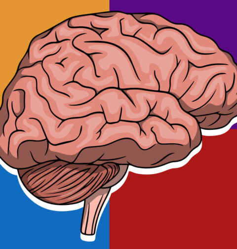 how-we-read-minds-implicit-and-explicit-theory-of-mind-explained