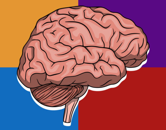 how-we-read-minds-implicit-and-explicit-theory-of-mind-explained