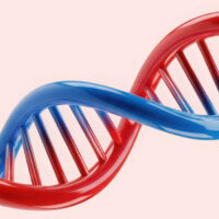 is-attachment-avoidance-genetic-the-role-of-oxtr-rs53576-and-environmental-influence