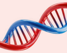 is-attachment-avoidance-genetic-the-role-of-oxtr-rs53576-and-environmental-influence
