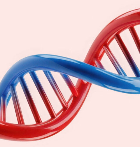 is-attachment-avoidance-genetic-the-role-of-oxtr-rs53576-and-environmental-influence