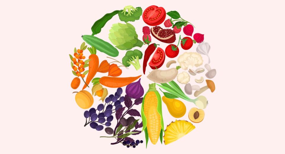 ultra-processed-foods-and-executive-function-how-diet-impacts-brain-health