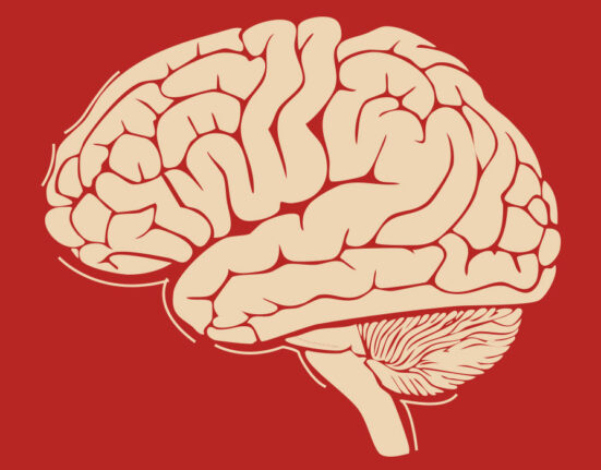 from-treating-symptoms-to-regulating-the-brain-rethinking-the-future-of-psychotherapy
