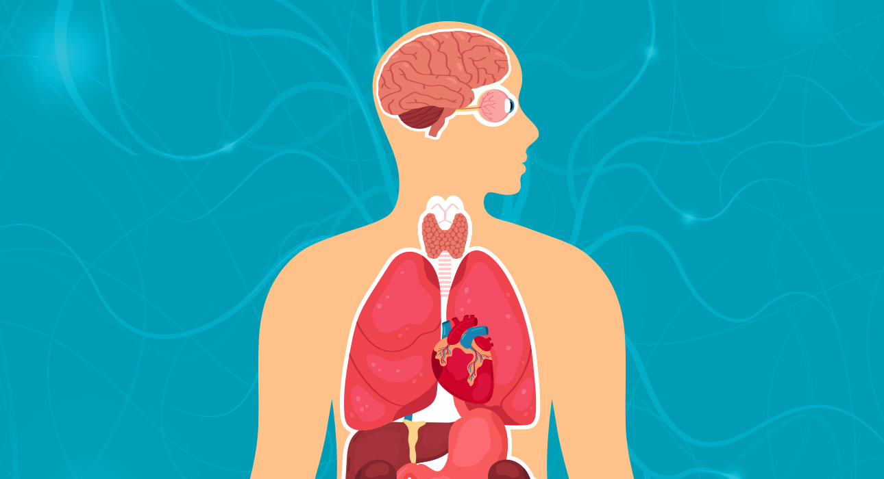 hormones-and-heat-understanding-the-chemical-basis-of-aggression