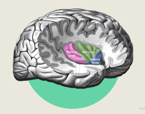 interoceptive-prediction-error-in-panic-disorder-the-hidden-mechanism-behind-panic-attacks