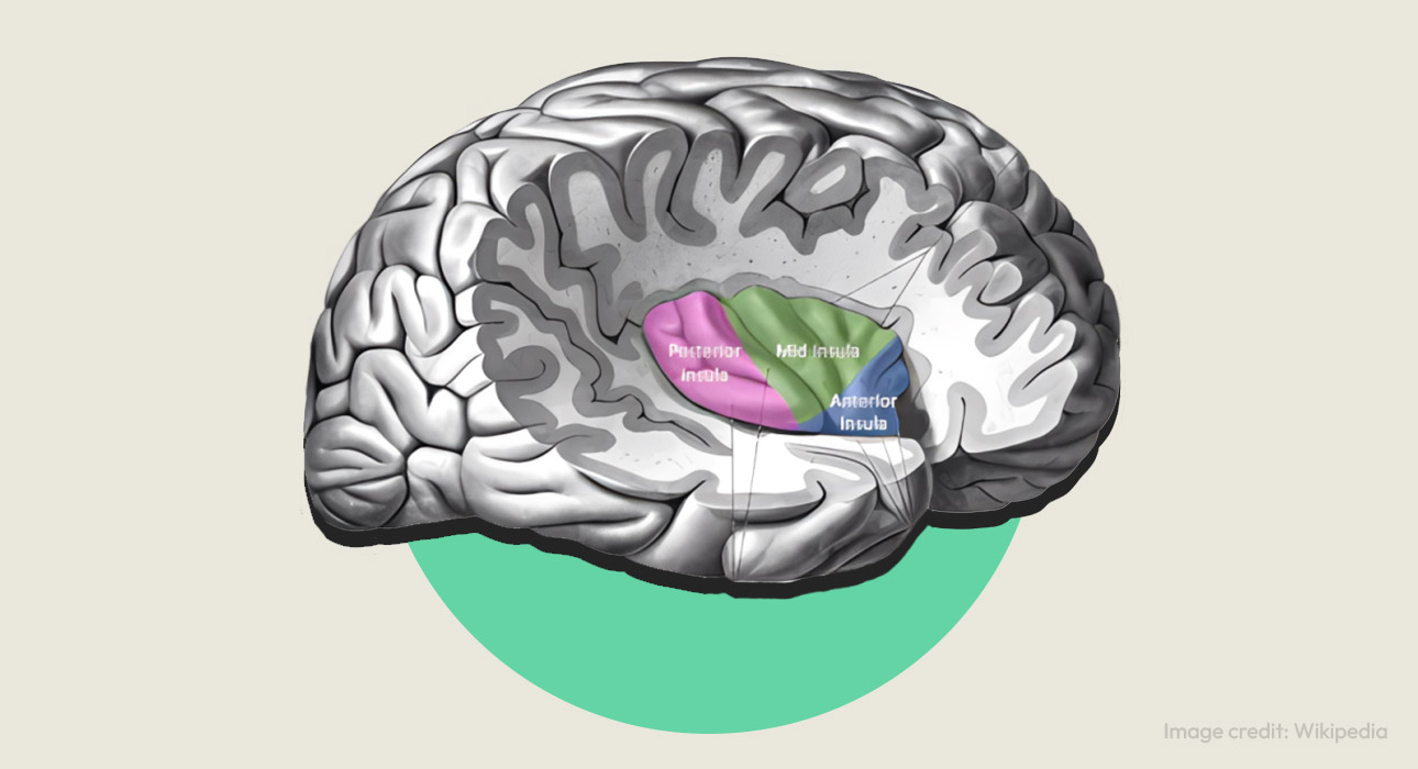 interoceptive-prediction-error-in-panic-disorder-the-hidden-mechanism-behind-panic-attacks
