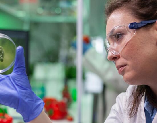 small-genetic-variants-and-environmental-factors-the-hidden-drivers-of-major-disease-risk