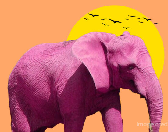 the-pink-elephant-paradox-neuro-cognitive-mechanics-of-thought-suppression-and-the-anxiety-loop