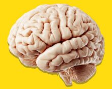 beyond-the-synapse-the-future-of-psychology-beyond-ai-and-brain-computer-interfaces