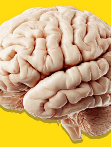 beyond-the-synapse-the-future-of-psychology-beyond-ai-and-brain-computer-interfaces